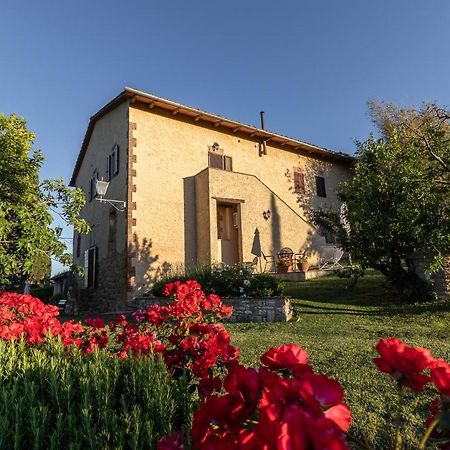 Agriturismo Casanova Asciano Bagian luar foto